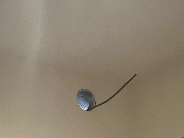 トイレ・浴室・洗面所の換気扇取り替え工事サービスの画像