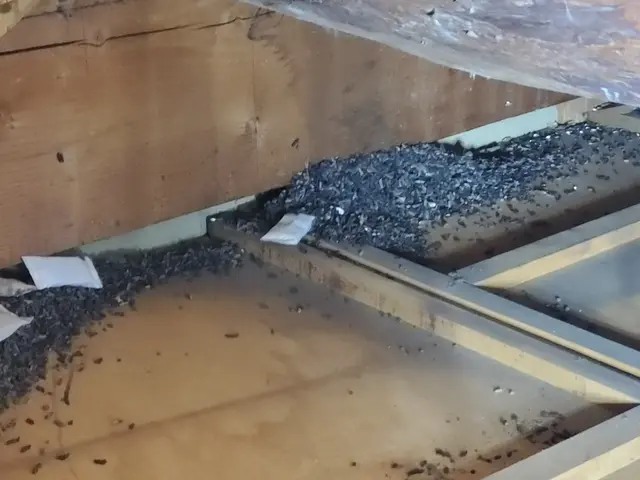 Bt CoCoです！・写真で前後比較◎豊富な経験と知識で安心　奈良　京都即対応！サービスの画像