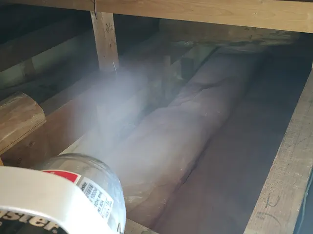 Bt CoCoです！・写真で前後比較◎豊富な経験と知識で安心　奈良　京都即対応！サービスの画像