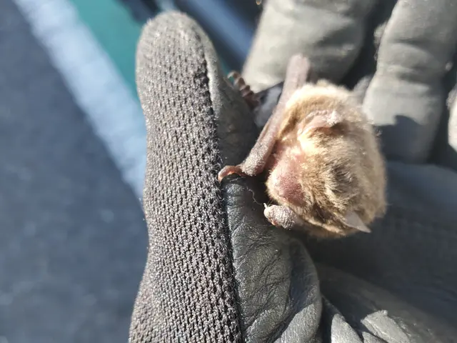 Bt CoCoです！・写真で前後比較◎豊富な経験と知識で安心　奈良　京都即対応！サービスの画像