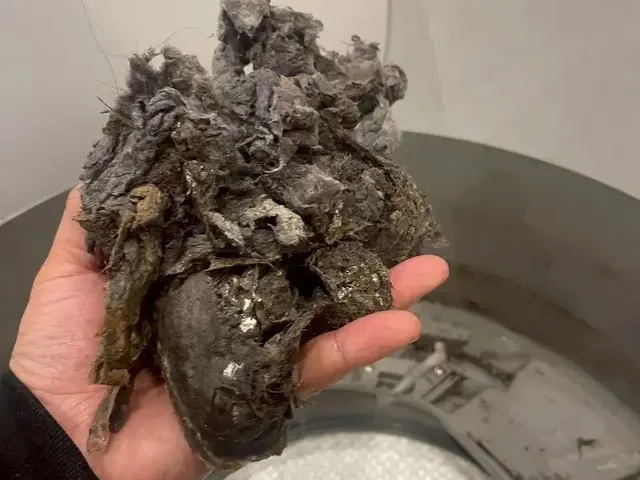 年間1000台の実績！即日対応可能な頼れる若手職人が最短1時間でスピード修理サービスの画像