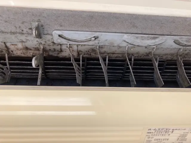 日程調整可能。複数台割引あり。【年中無休◎】女性スタッフ同行調整可能！サービスの画像