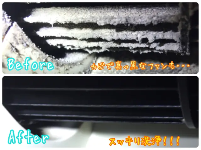 【 1日2件限定徹底洗浄】消臭抗菌コート全台無料◎複数台割◎キレイな空気で快適にサービスの画像