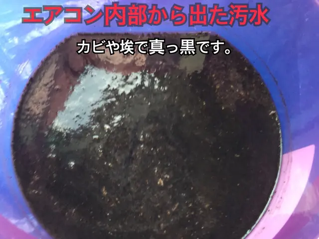 【 1日2件限定徹底洗浄】消臭抗菌コート全台無料◎複数台割◎キレイな空気で快適にサービスの画像