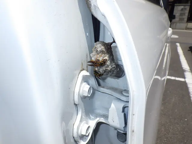 【最短即日対応】刺される前に対処しましょう！戻り蜂対策もバッチリ！サービスの画像