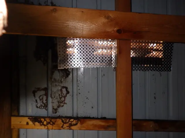 【最短即日対応】刺される前に対処しましょう！戻り蜂対策もバッチリ！サービスの画像