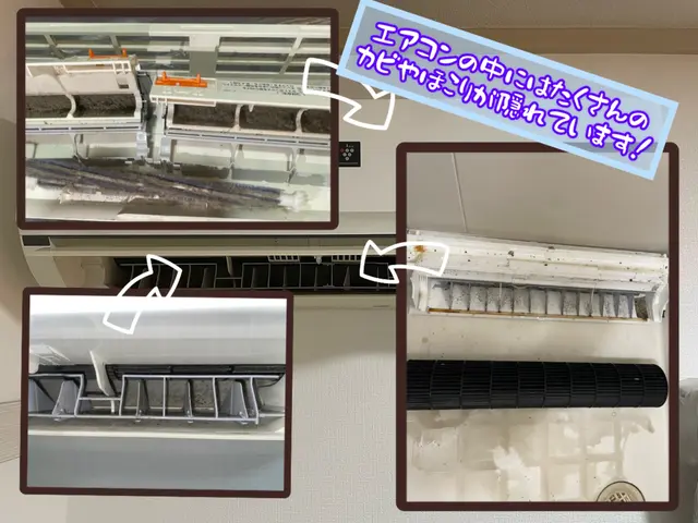 ☆★☆必読！完全分解！☆★☆徹底養生を施し付着ゼロ【超レア】真の完全分解可能！！サービスの画像