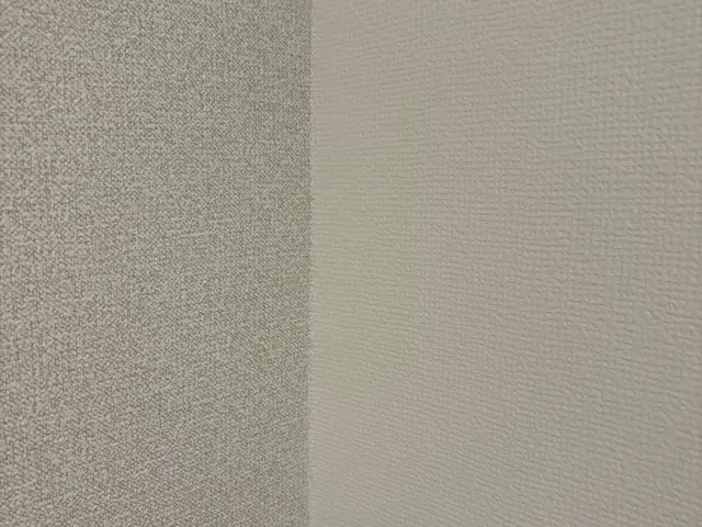 ☆クロス再生施工☆張り替えの約半額で新品レベルに仕上げます☆抗菌・防臭・防カビ☆サービスの画像