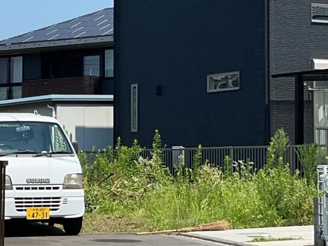 除草作業（草刈機での広範囲）サービスの画像