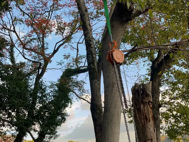 作業外注一切なし◎予約対応～作業完了まで、当社スタッフがすべてご対応！サービスの画像