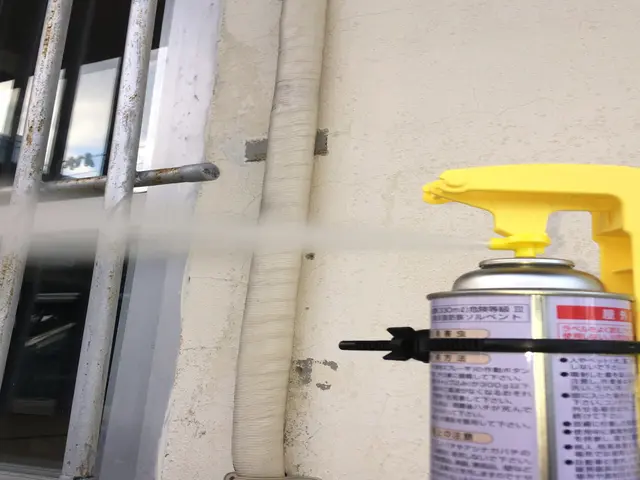 ハチ駆除なら沖縄インセクトサービスの画像