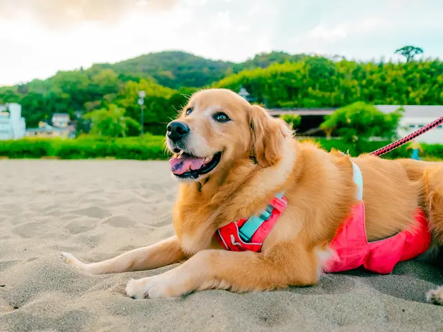 【口コミ多数】旅好きカメラマンによる高品質な写真をお届け！