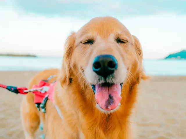 【口コミ多数】旅好きカメラマンによる高品質な写真をお届け！