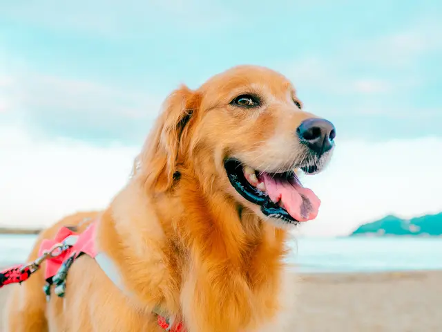 【口コミ多数】旅好きカメラマンによる高品質な写真をお届け！