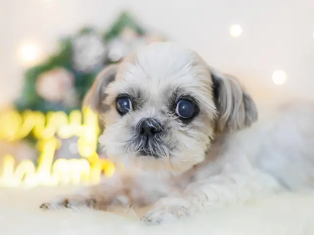 【通常20,000円〜】旅好きカメラマンによる高品質な写真をお届け！