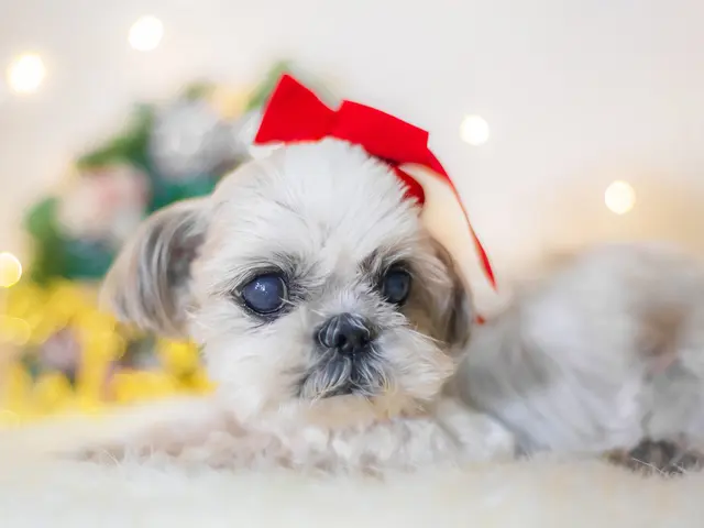 【通常20,000円〜】旅好きカメラマンによる高品質な写真をお届け！