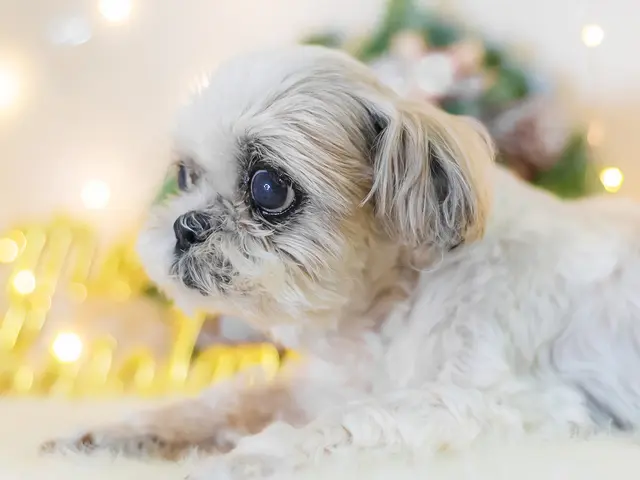 【通常20,000円〜】旅好きカメラマンによる高品質な写真をお届け！