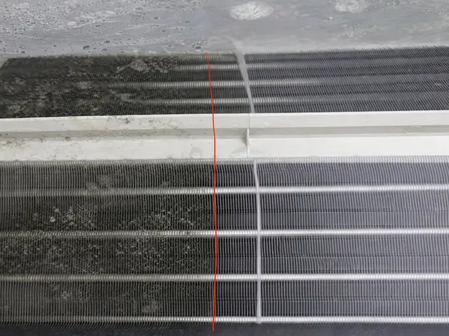 ★出店キャンペーン★    複数台割引あり・消臭抗菌コート無料対応中‼サービスの画像