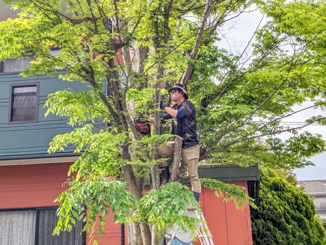 【見積り・相談無料】　◆不要になった木々の伐採・伐根いたします。サービスの画像