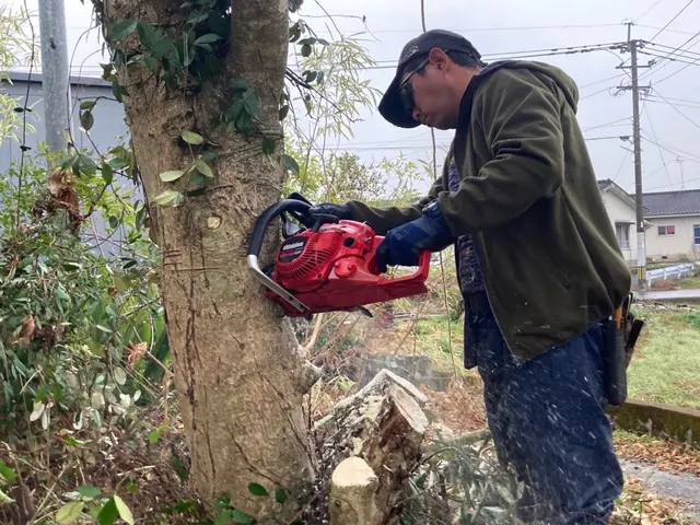 【見積り・相談無料】　◆不要になった木々の伐採・伐根いたします。サービスの画像