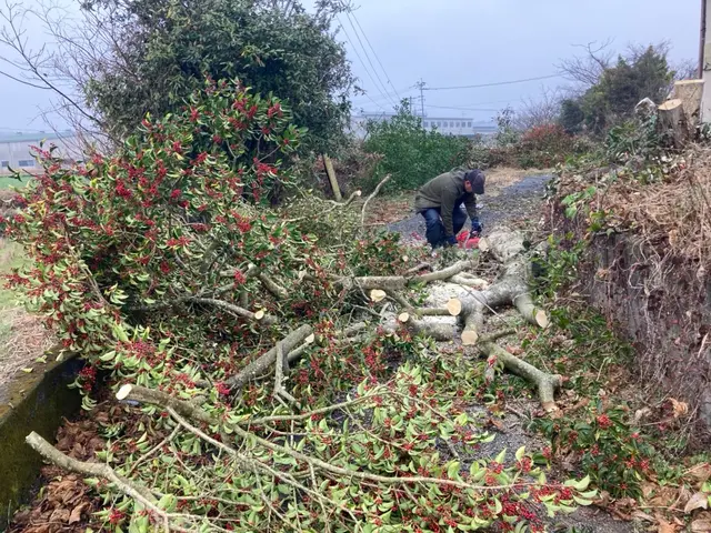 【見積り・相談無料】　◆不要になった木々の伐採・伐根いたします。サービスの画像