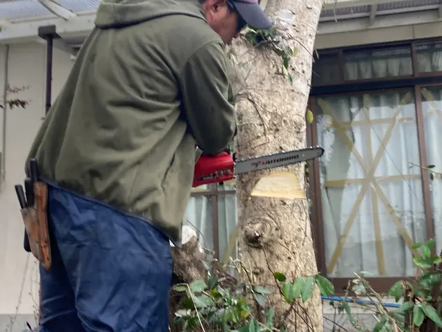 【見積り・相談無料】　◆不要になった木々の伐採・伐根いたします。サービスの画像