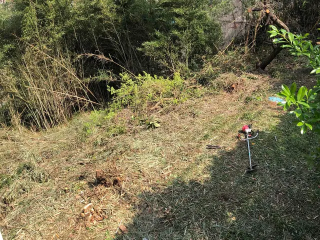 草刈り（草刈り機）サービスの画像