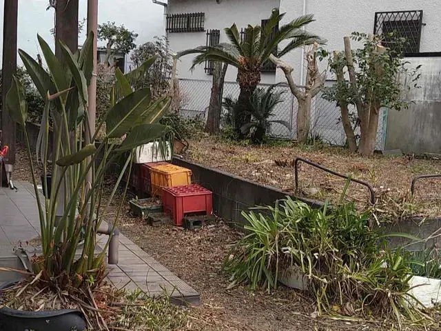 草刈り（草刈り機）サービスの画像