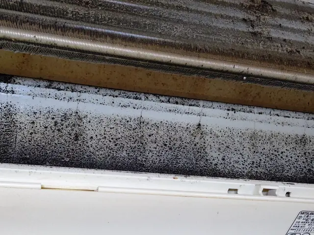 【☆地域密着で営業中☆】安心してお気軽にご相談ください。サービスの画像