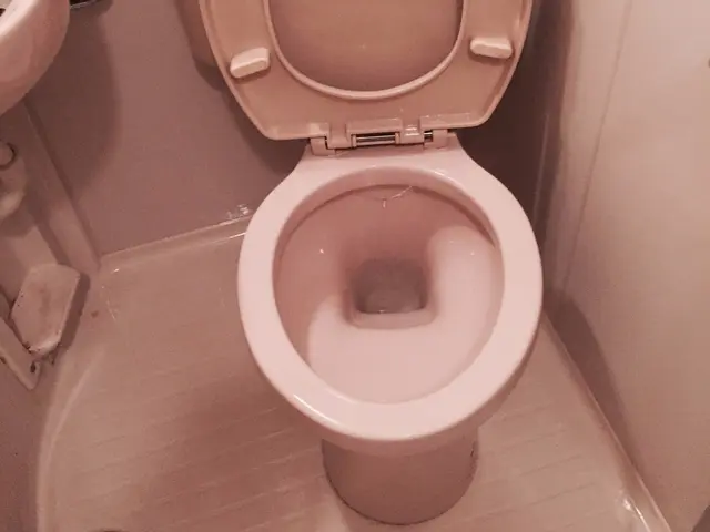 水周り5点（キッチン・換気扇・お風呂・トイレ・洗面所）のクリーニング。サービスの画像