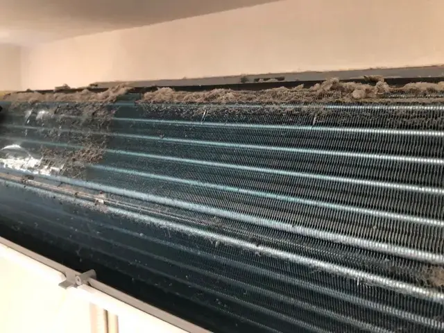 全て自社対応◎プロが丁寧に洗浄します！臭い・カビもスッキリ解決！ 圧倒的清潔感。サービスの画像