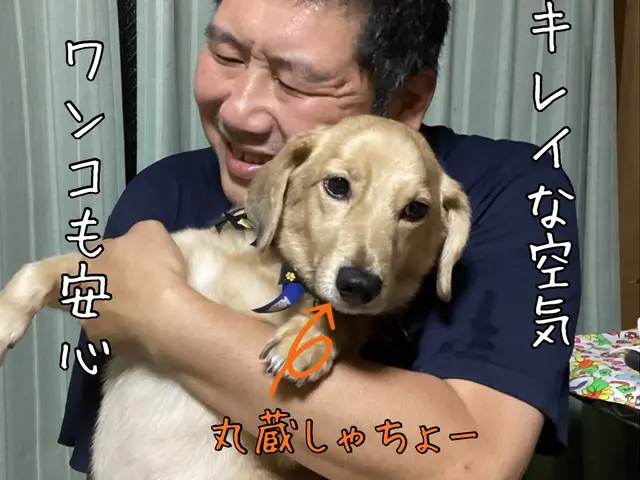 夜間、早朝でも同料金で承っております。店舗やオフィスも安心！サービスの画像