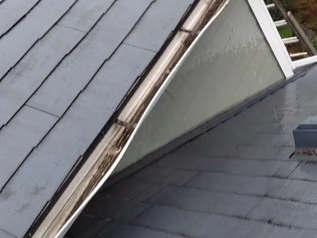 雨樋修理 雨樋清掃サービスの画像