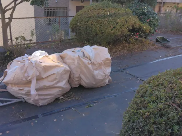 【枯葉撤去】お庭の落ち葉などの清掃はおまかせください。定期的なご要望にも対応可能サービスの画像