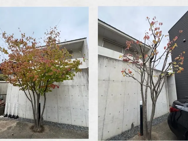 笑顔と丁寧さで、お庭の美しさを最大限に引き出します！サービスの画像