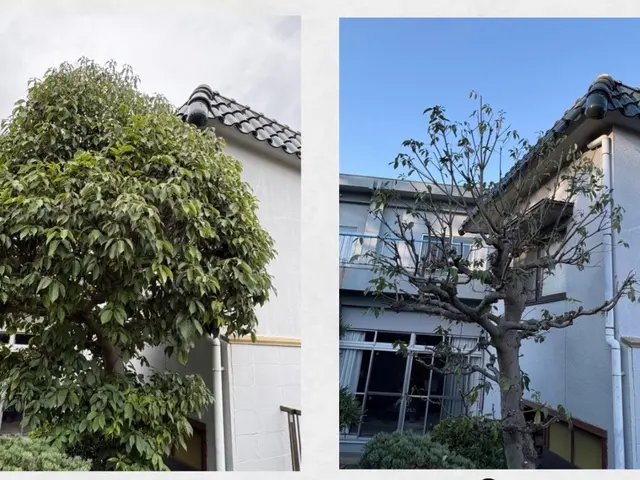 笑顔と丁寧さで、お庭の美しさを最大限に引き出します！サービスの画像