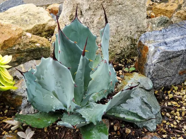 【業歴20年の実績】地域密着店◎エクステリアプランナー資格ありサービスの画像