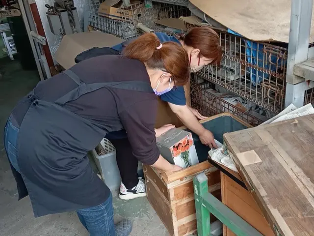 即日対応相談ください！3tロングトラック完備！たくさん積めます！お見積もり無料サービスの画像