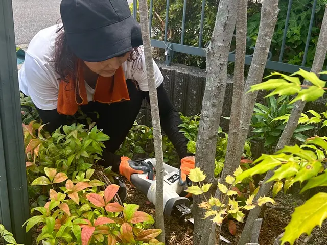 整理収納アドバイザー！　親・子の片付けインストラクター！　断捨離のお手伝いなど！サービスの画像