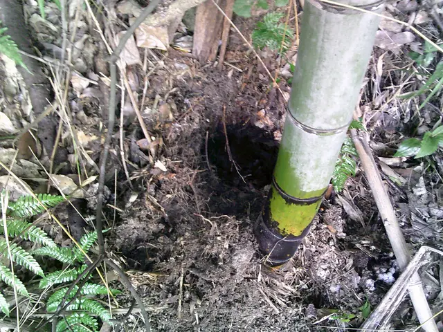 時間外も対応します！アシナガバチ・スズメバチ駆除します！ご気軽にご相談ください！サービスの画像