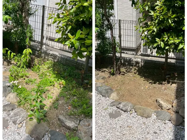 草むしりいたします！サービスの画像