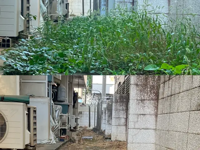 草むしりいたします！サービスの画像