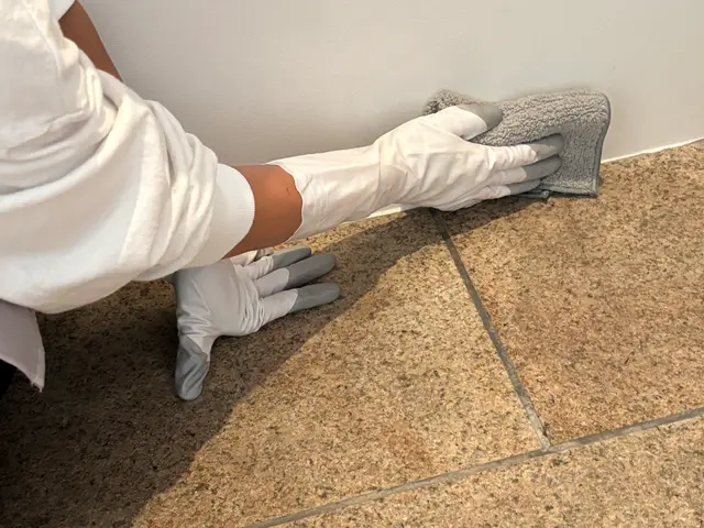 タイルの目地もブラシで細かく洗浄し、明るい玄関に整えます。サービスの画像