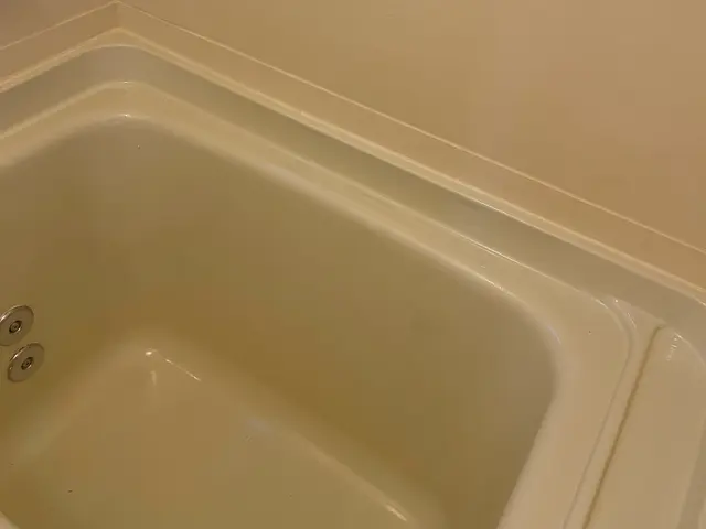 【プロ仕様の塗料を使用！】あなたの浴槽をピカピカに。お気軽にご相談ください。サービスの画像