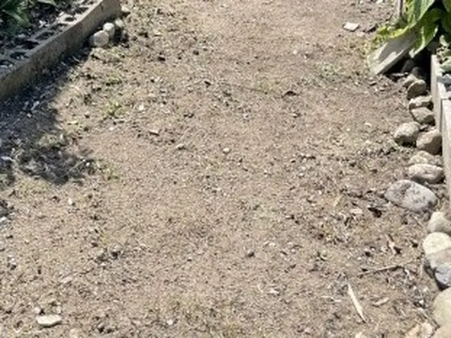 豊富な経験と知識で安心　木の伐採もお任せ下さい◎お気軽にお問い合わせ下さい◎サービスの画像