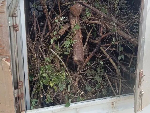 豊富な経験と知識で安心　木の伐採もお任せ下さい◎お気軽にお問い合わせ下さい◎サービスの画像