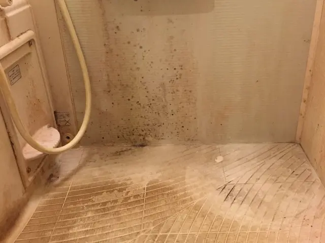 ☆お風呂丸ごと徹底洗浄！★エプロン内洗浄★防カビコートサービスの画像