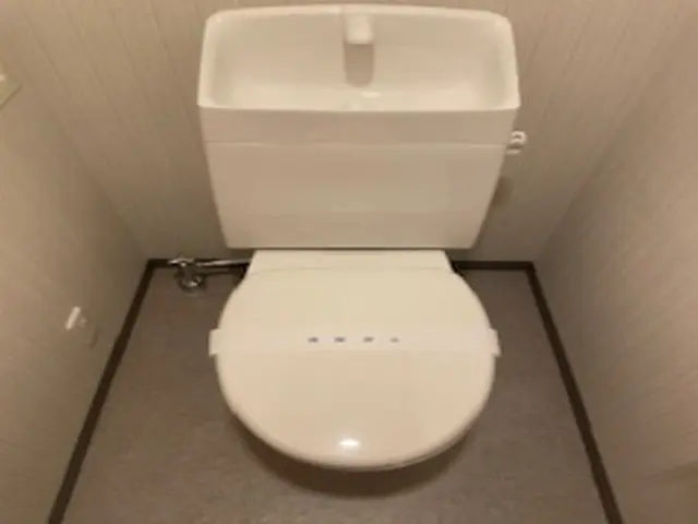 気になりだしたら止まらない！水回りのクリーニングはプロにお任せ下さい！サービスの画像