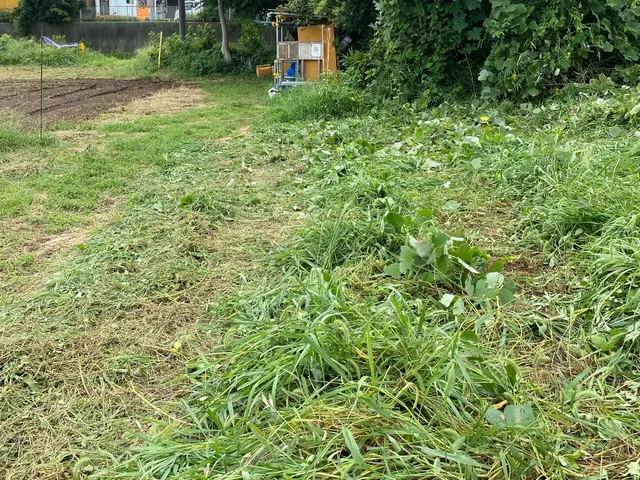 作業外注一切なし◎公共仕事での経験7年あり◎サービスの画像