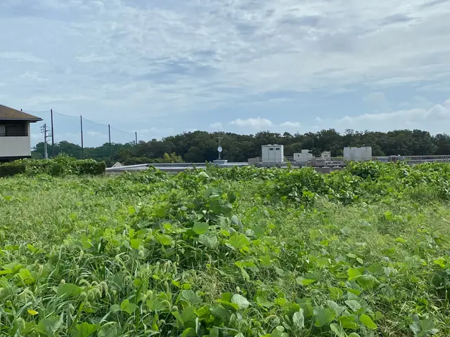 作業外注一切なし◎公共仕事での経験7年あり◎サービスの画像